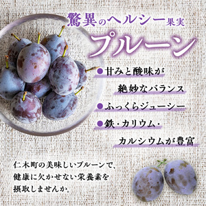 プルーンフルーツ 9月後半～10月発送 北海道産 プルーン【800g(400g×2)】