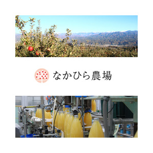 国産果汁 フルーツスムージーセット（180ml×10本）［NH01］ // 長野県 南信州 ストレートスムージー 無加糖 無塩 香料不使用 着色料不使用 保存料不使用 農水大臣賞 天皇杯