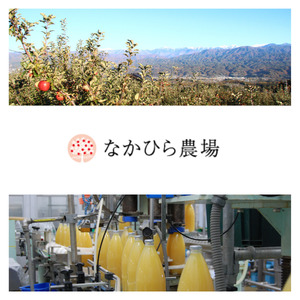 国産果汁100％ジュース 健康ギフト（180ml×10本）［NH02］// 長野県 南信州 ストレートジュース 無加糖 無塩 香料不使用 着色料不使用 保存料不使用 天皇杯 農水大臣賞 