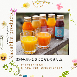 国産果汁100%ジュース＆スムージーセット（180ml×10本）［NH04］// 長野県 南信州 ストレートスムージー ストレートジュース 無加糖 無塩 香料不使用 着色料不使用 保存料不使用 天皇杯 農水大臣賞