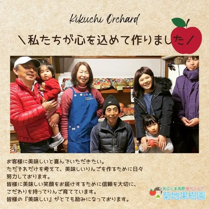 りんご農家手作りのドライフルーツ「やみつきりんご」6袋【菊地合名会社】