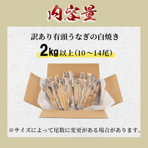 【訳あり】鹿児島県大隅産！楠田の極うなぎ白焼き 有頭2kg（約10尾～14尾） うなぎ 鰻 ウナギ 国産 鹿児島県産 九州産 白焼き 冷凍 うな重 ひつまぶし g2-002