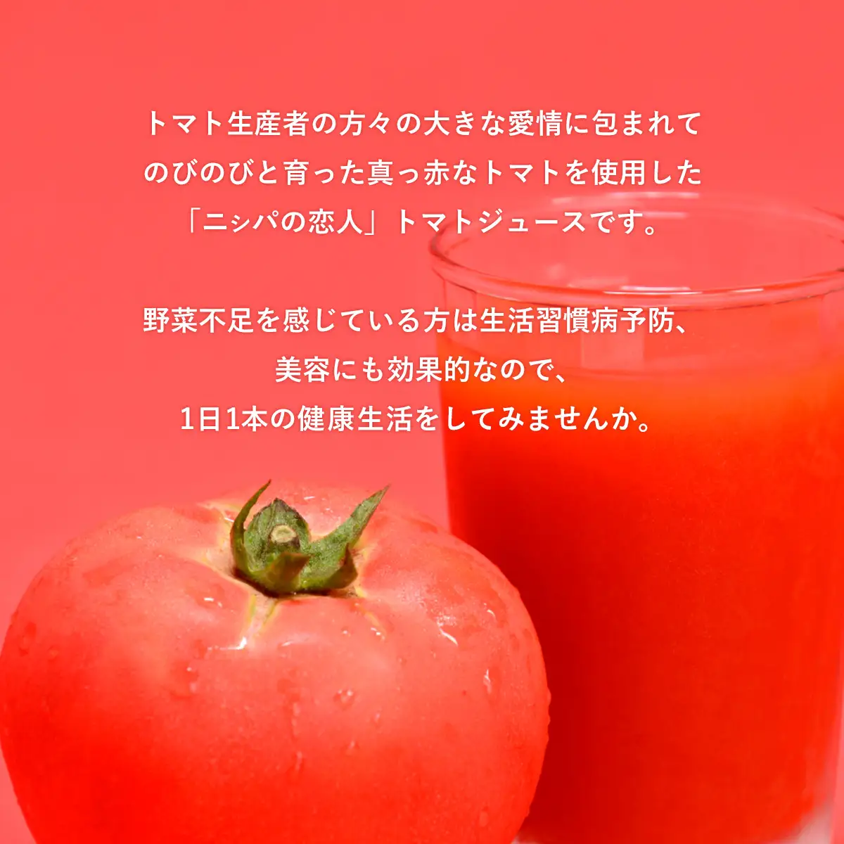 TVで紹介！【定期便】完熟生食用トマトの旨味たっぷり！“贅沢濃厚”「ニシパの恋人」トマトジュース無塩　60缶 毎月×3 BRTH006
