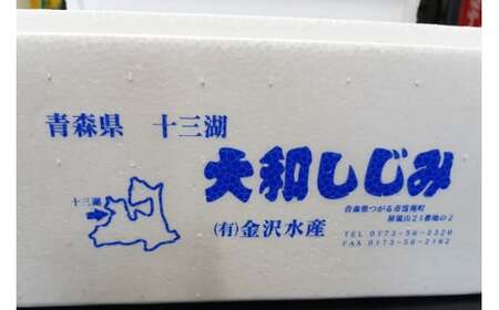 青森県十三湖産【冷凍】ヤマトシジミ 特大 1kg [0554]