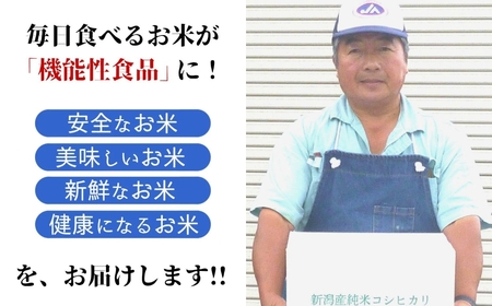 先行予約 特別栽培米コシヒカリ 白米 10kg 新潟県産 令和8年 [佐藤農産有機センター]【018S050】