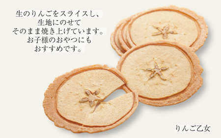 MZ05　りんご乙女 8枚×3箱 // 長野県 南信州 りんごのお菓子 薄焼きクッキー りんごせんべい フードロス 食品ロス 銘菓 お土産 ギフト 優秀味覚賞