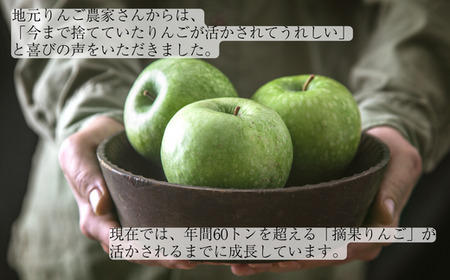 MZ06　りんご乙女 16枚×2箱 // 長野県 南信州 りんごのお菓子 薄焼きクッキー りんごせんべい フードロス 食品ロス 銘菓 お土産 ギフト 優秀味覚賞