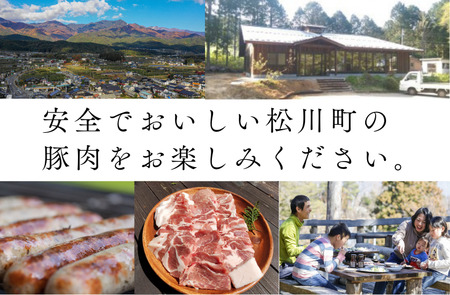 SF06　さんさん豚3回お届けコース ／（翌月より3ヶ月）// 長野県産豚肉 南信州 ポーク ステーキ バークシャー種 薄切り 味噌漬け 安全 安心 定期便 毎月届く 贈答 ギフト