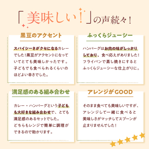 神戸牛 100% ハンバーグ カレー セット 神戸牛