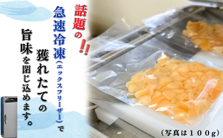 岬だより 貝専門店 天然の青柳小柱　100g×5袋 [配送不可地域：離島]