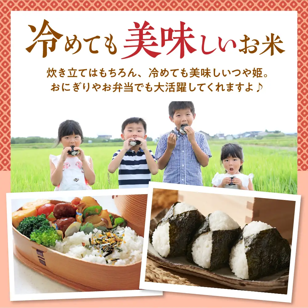 【令和7年産米】2026年9月前半発送 つや姫10kg つや姫 精米