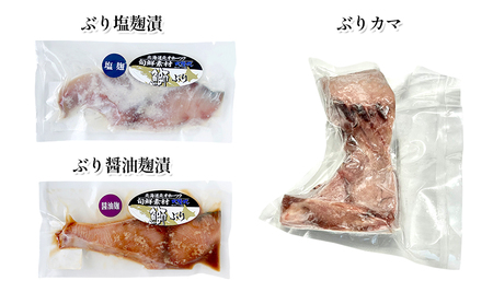 オホーツク枝幸 食卓おたすけ隊～焼き魚セット【 魚貝類 サーモン 鮭 干物 漬魚 味噌漬け 北海道 オホーツク 枝幸 】