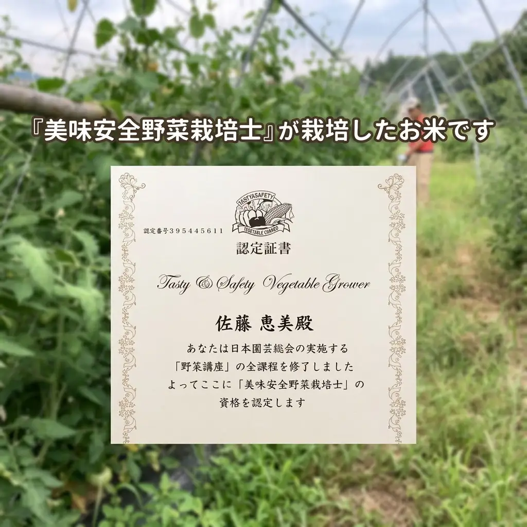 コシヒカリ 玄米 10kg 美味安全栽培 玄米 新潟県上越産