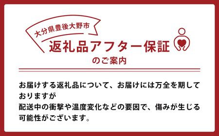037-1053x2【先行予約】 大分県 豊後大野市産 梨 約5kg 【2026年8月下旬～12月上旬発送予定】