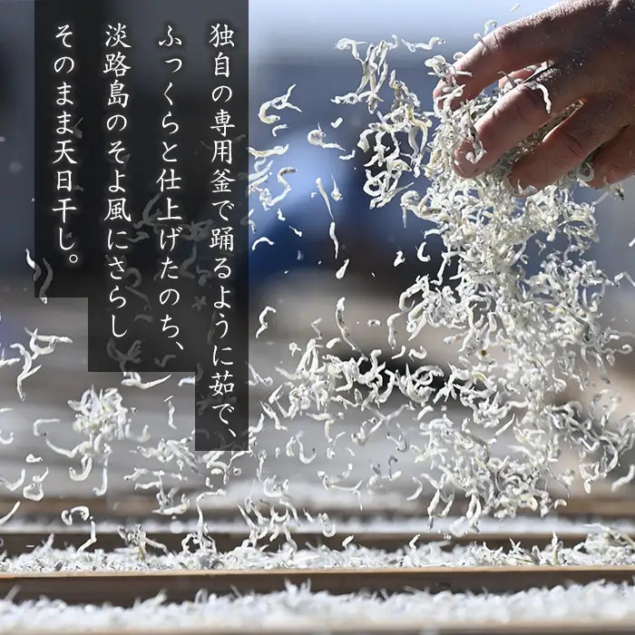 【訳アリ】淡路島産 無選別ちりめん 600g（100g×6袋）