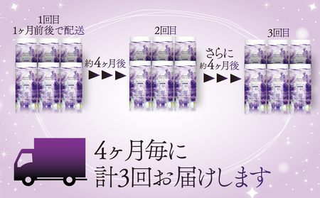 【 定期便 年 3 回 4 ヶ月毎 】 トイレットペーパー 12ロール ダブル ラベンダー 