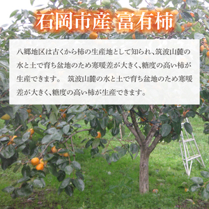 【2026年10月下旬より順次発送】【数量限定】富有柿 2L 14玉【茨城県共通返礼品/石岡市】（IU-10）