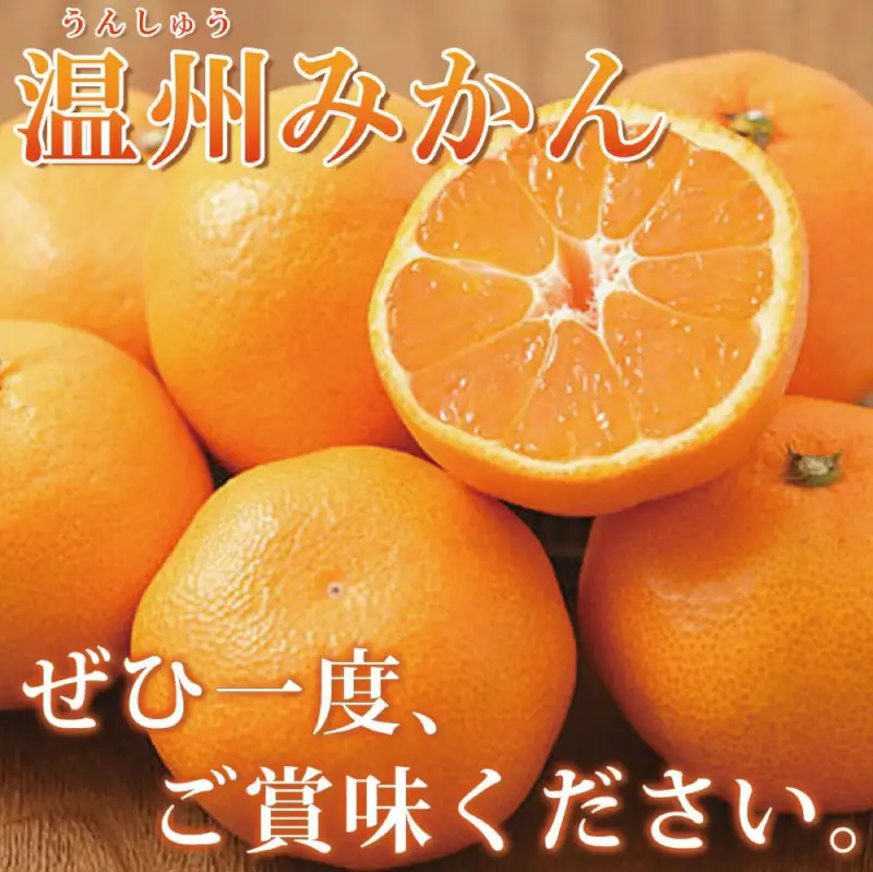 【先行予約】紀州有田産 濃厚完熟 温州みかん 5kg ※2026年11月下旬～2027年1月下旬頃に順次発送予定 【uot006】