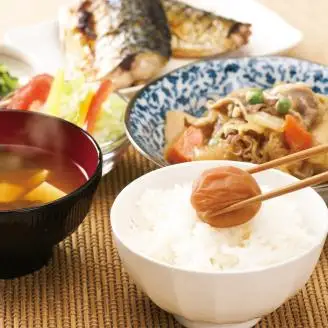 紀州南高梅 うす塩味1kg【1133-4】
