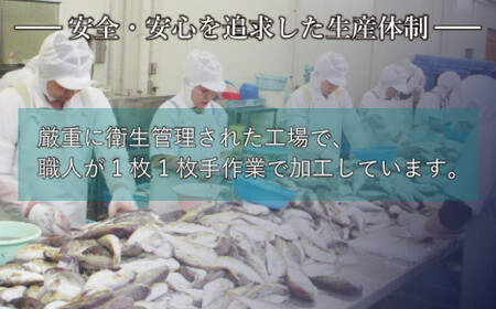 【※配送指定日必須】国産とらふぐ刺し身セット 冷蔵 約3人前 ふぐ AQ
