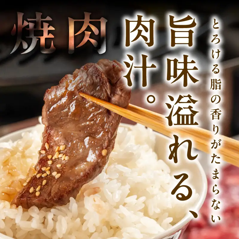 黒毛和牛 焼肉用 800g 氷温熟成×特製ダレ