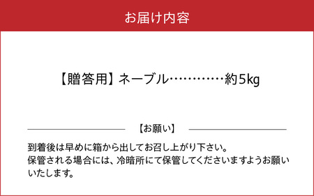 54-12　福島オレンジ農園　【贈答用】減農薬栽培! おいしい樹成甘熟!!ネーブル　約5kg_U54-0012