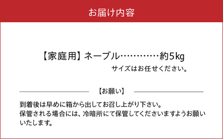 54-13　福島オレンジ農園 【家庭用】減農薬栽培! おいしい樹成甘熟!!ネーブル　約5kg_U54-0013