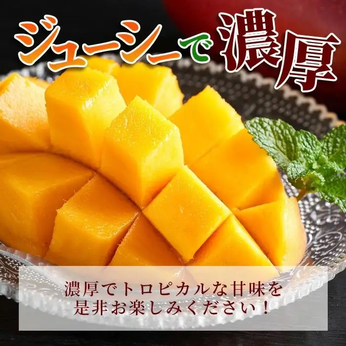 ［予約受付］美ら姫マンゴー2kg（完熟・アーウィン種）CB-2