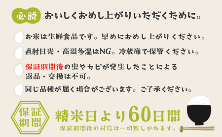 K2480【定期便/3か月連続お届け】＜2024年6月上旬初回発送＞  お米 5kg 茨城県産 定期便