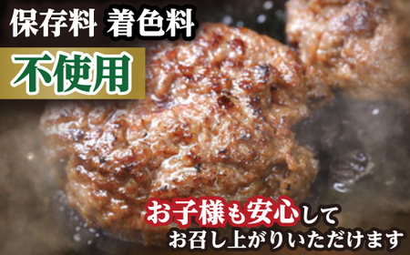 ハンバーグ 近江牛 100%【無添加】食べ応え抜群！超あらびきワイルドハンバーグ 1.2kg (約120g×10個) ブランド 牛肉 黒毛和牛 【 近江牛 】 FO19W