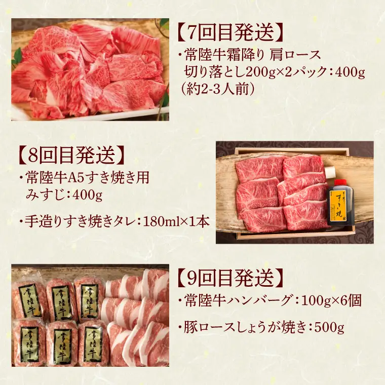 12ヶ月 定期便 肉 常陸牛 Bコース  肉のイイジマ（DU-112）