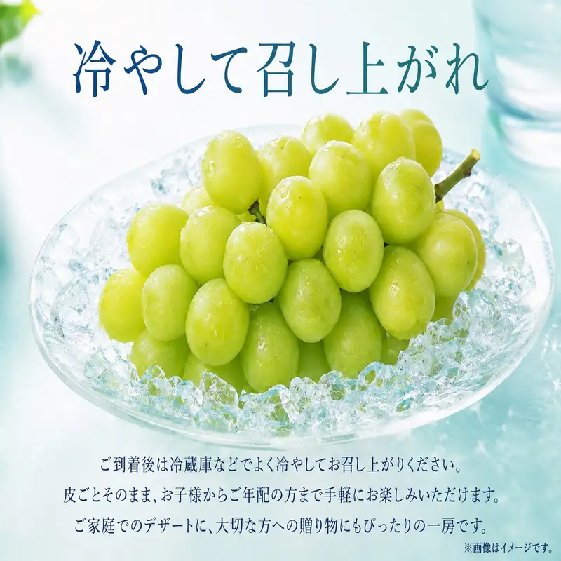 紀州かつらぎ山の瀬戸ジャイアンツ 約2kg ※2027年8月下旬頃〜9月中旬頃に順次発送予定(お届け日指定不可) / ぶどう ジャイアンツ フルーツ 果物 くだもの 【uot793A】