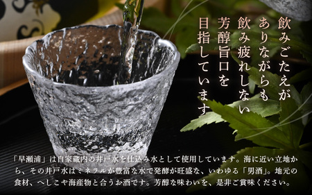 【お中元】 早瀬浦 大吟醸 山田錦 720ml × 1本 【入手困難 日本酒】[m06-b008]