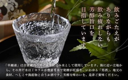 【お中元】 早瀬浦 純米大吟醸 山田錦 720ml × 1本 【入手困難 日本酒】[m06-c004]