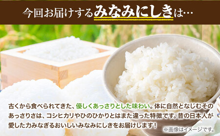 【3ヶ月定期便】新米  令和6年産 みなみにしき 白米 4kg 熊本県 荒尾市産 米 白米 定期 つゆくさ農園 《お申込み月の翌月から出荷開始》 美味しい米 お米 熊本県産米 くまもと米 st-p