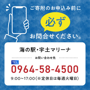 【海の駅・宇土マリーナ】ボートレンタル・ライセンス・陸地保管・係留料ご利用割引券 A _U124-0001