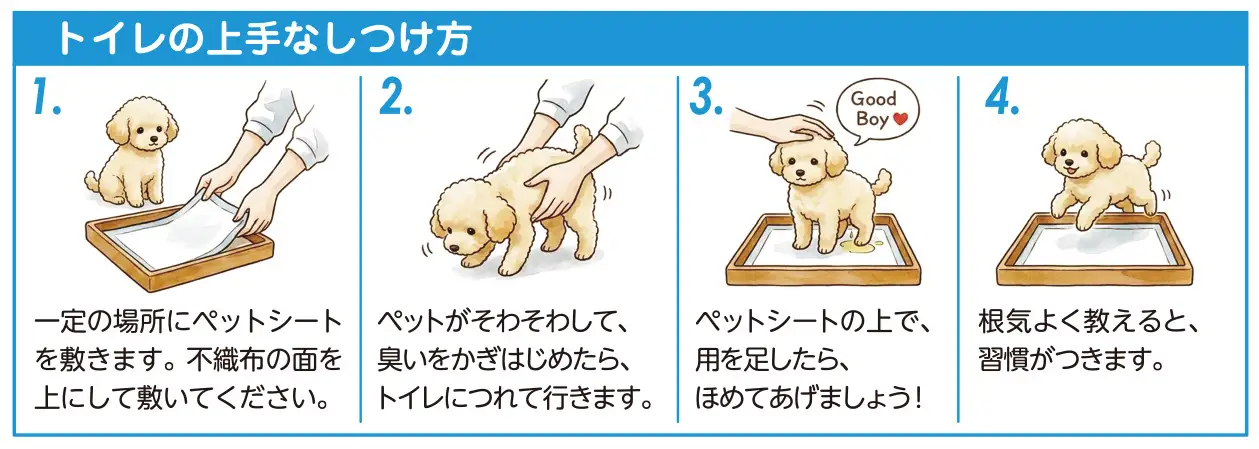 ペットワールド ペットシーツ スーパーワイド 薄型 36枚×4袋 青色 おしっこ トイレ すばやく 吸収 消臭 1回交換 ワン 犬 いぬ まとめ買い ペット用 消耗 衛生 防災 備蓄 日本製 国産 SDGs サノテック 静岡 富士市 [sf024-015]