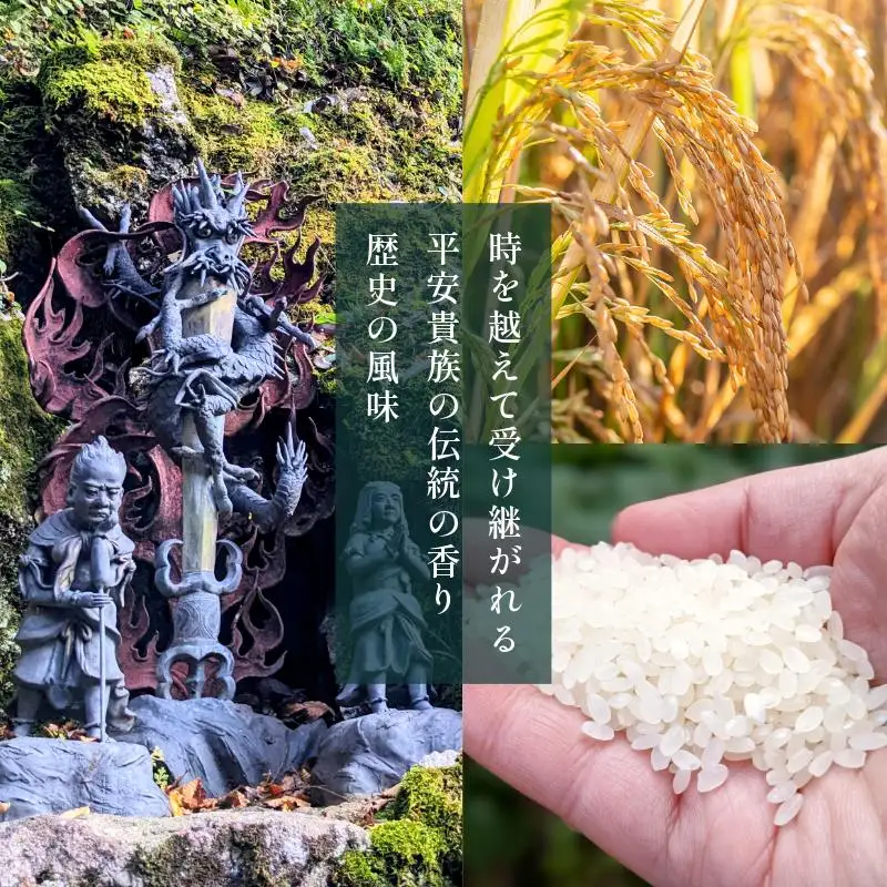 【令和8年産】葛城山脈の清流の希少ブランド米「龍神大木の里」精米済み4.5kg（約30合分） きぬひかり
