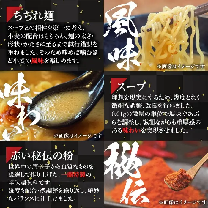 ラーメン セット 一蘭 計10食 ちぢれ麺 袋ラーメン スープ 1人暮らし