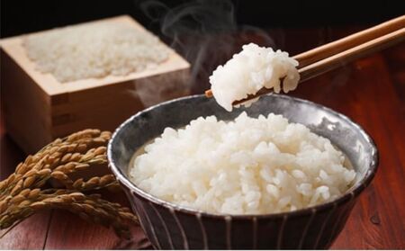 【令和8年産】限定30個「300年のお米」茨城県産コシヒカリ10kg 玄米 ※2026年10月～発送 | 栄養 お米 こしひかり こめ ご飯 おむすび おにぎり 茨城 常総