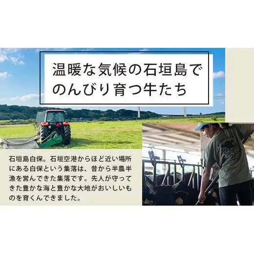 ＜先行予約＞石垣島黒毛和牛１００％ハンバーグ 100g×10個  BO-1