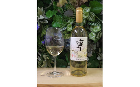春日井ワイナリ－春の風 2024(寧)デラウェア 白ワイン 750ml 1本