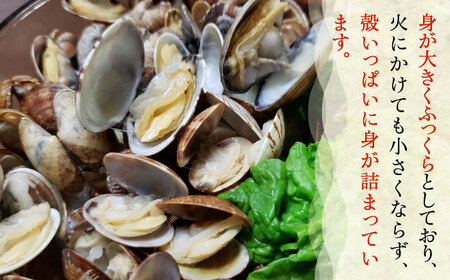 【令和6年4月頃発送予定】特産 椎田 あさり 1.5kgアサリ 活あさり [ABAY002]