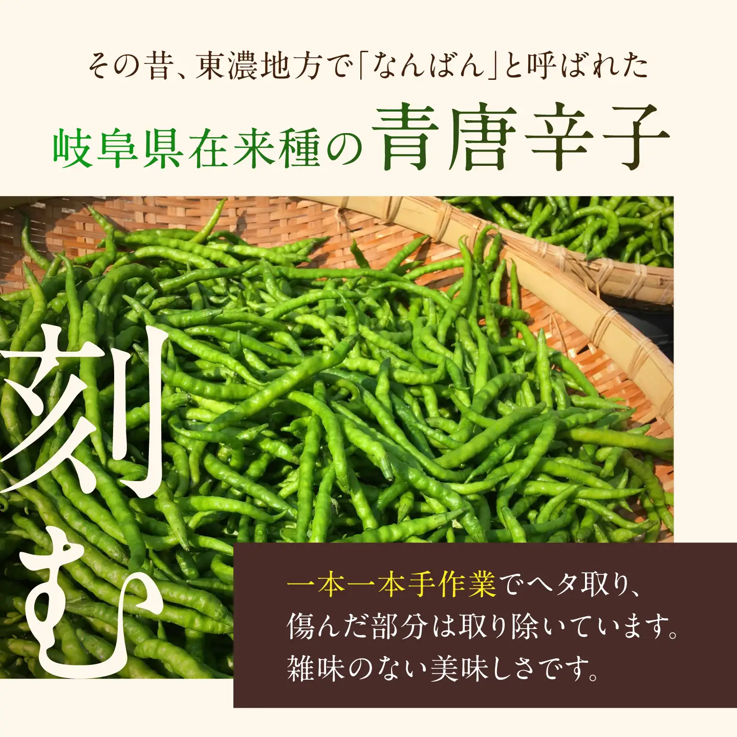 みたけさいとう創店オリジナル柚子胡椒「御嵩柚子なんばん」2個セット [AVAZ010]