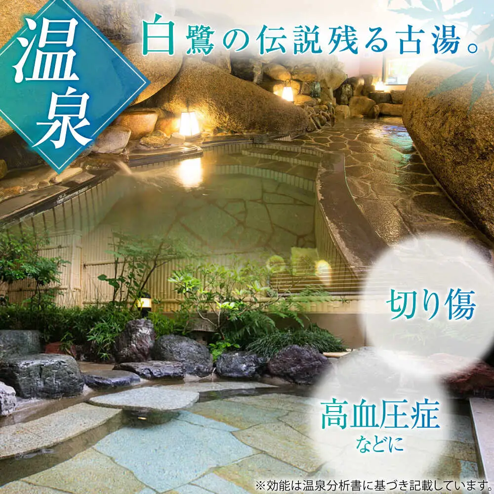 鬼岩温泉 了山・Ryo-an 共通利用券 9,000円分 / 天然温泉 エステ カフェ 食事 温泉 入浴 宿泊 日帰り 温泉利用券 利用券 温泉宿 宿泊券 チケット[AVAH002]