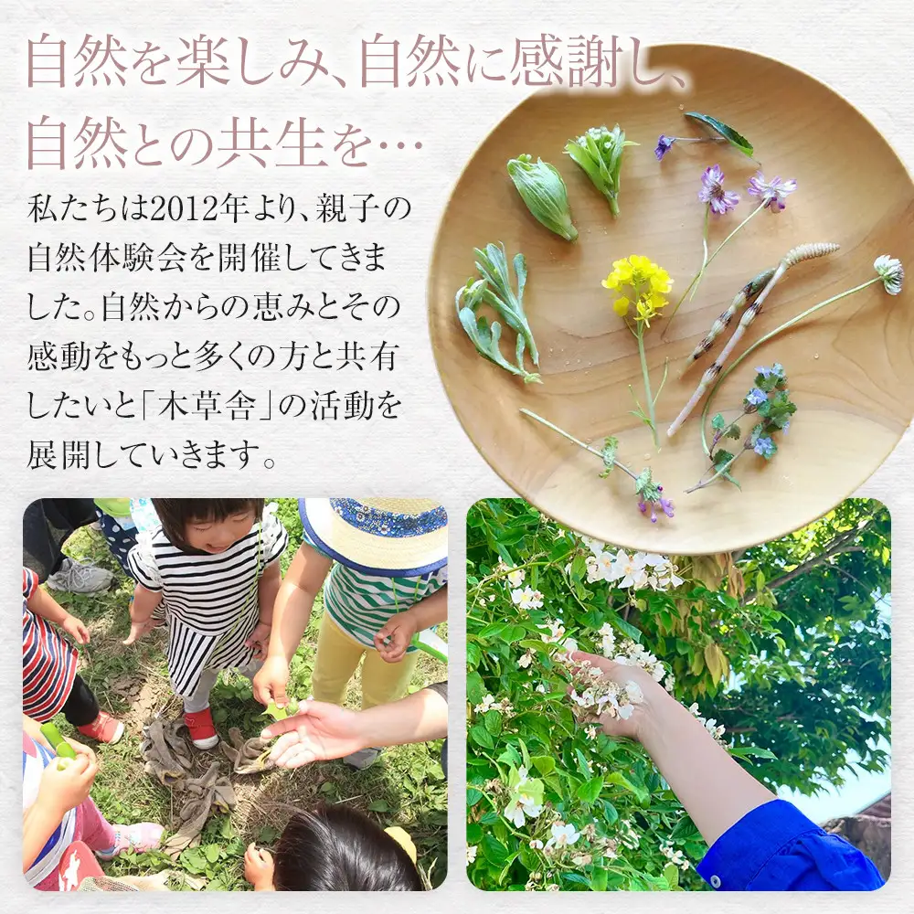 ＜木のぬくもりを感じる動物オブジェ＞日本の獣たち・缶【木草舎ーもくそうやー】