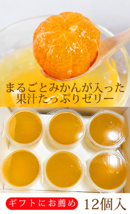 紀州和歌山まるごとみかんゼリー 145g×12個（6個入×2箱） ※2024年10月上旬頃より発送予定【uot791】