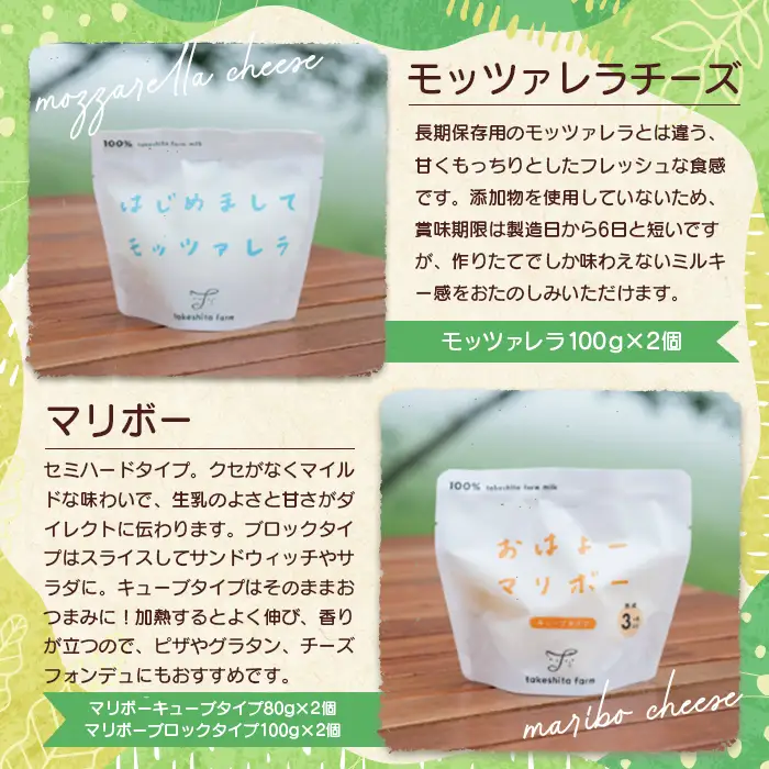 竹下牧場 takeshita farm【定期便６ヶ月】まるごとチーズセット 計560g【2400302】