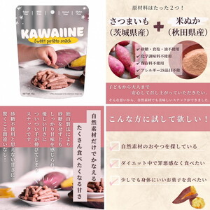 全種詰め合わせセット＜植物性パルメザンチーズ風味・植物由来のこんにゃくジャーキー・芋皮スナック・野菜を補うクラッカー1種・野菜を補うグラノーラ3種＞ ※離島への配送不可
