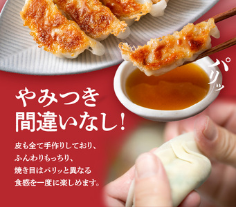口福餃子「和（もち）豚」使用 しそ入り餃子（冷凍生） _U119-0002